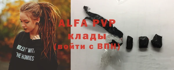 гашик Инсар