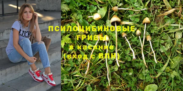 альфа пвп Инта
