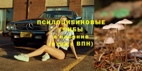 гашик Инсар