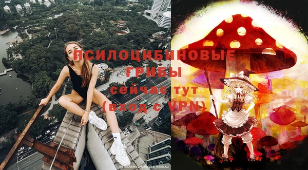 альфа пвп Инта