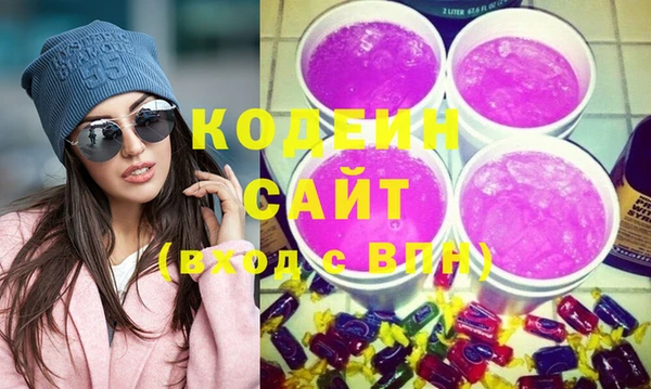 гашик Инсар