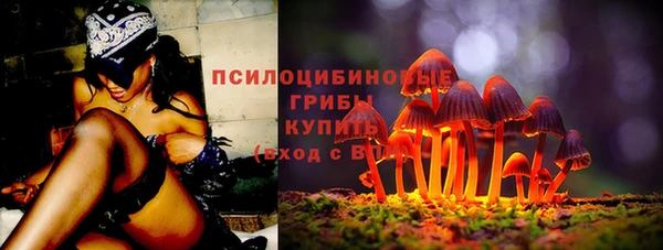 ГАЛЛЮЦИНОГЕННЫЕ ГРИБЫ Зерноград