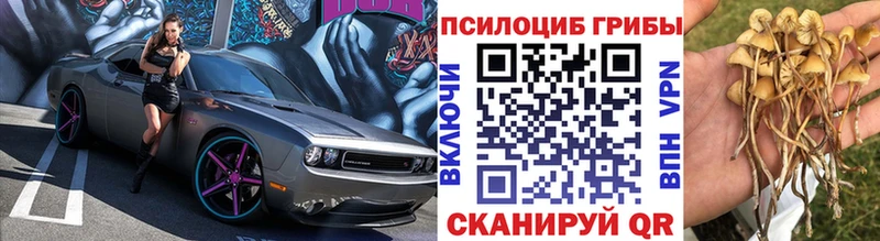 Купить закладки  Олёкминск  Псилоцибиновые грибы Psilocybine cubensis 